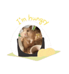 愛くるしい動物達のスタンプ（個別スタンプ：24）