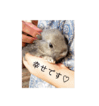 愛くるしい動物達のスタンプ（個別スタンプ：27）