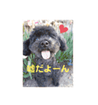 愛くるしい動物達のスタンプ（個別スタンプ：29）