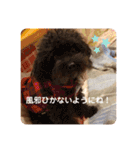 愛くるしい動物達のスタンプ（個別スタンプ：31）