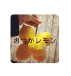 愛くるしい動物達のスタンプ（個別スタンプ：35）