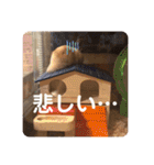 愛くるしい動物達のスタンプ（個別スタンプ：36）