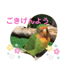 愛くるしい動物達のスタンプ（個別スタンプ：38）