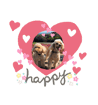 Happy dogs and Ryo（個別スタンプ：13）