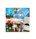 Happy dogs and Ryo（個別スタンプ：20）