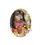 Happy dogs and Ryo（個別スタンプ：22）