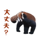 ほほえみフレンズ！レッサーパンダのきもち（個別スタンプ：21）