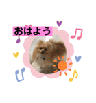 ひなたくんとれんちゃん（個別スタンプ：3）