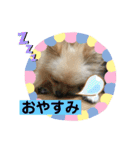 ひなたくんとれんちゃん（個別スタンプ：4）