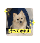 ひなたくんとれんちゃん（個別スタンプ：7）