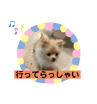 ひなたくんとれんちゃん（個別スタンプ：8）