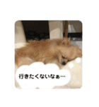 ひなたくんとれんちゃん（個別スタンプ：9）