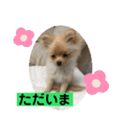 ひなたくんとれんちゃん（個別スタンプ：10）