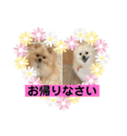 ひなたくんとれんちゃん（個別スタンプ：11）