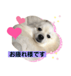 ひなたくんとれんちゃん（個別スタンプ：12）