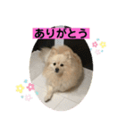 ひなたくんとれんちゃん（個別スタンプ：13）