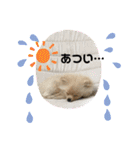 ひなたくんとれんちゃん（個別スタンプ：14）