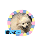 ひなたくんとれんちゃん（個別スタンプ：18）