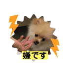 ひなたくんとれんちゃん（個別スタンプ：20）
