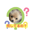 ひなたくんとれんちゃん（個別スタンプ：21）
