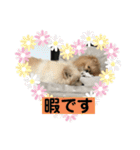 ひなたくんとれんちゃん（個別スタンプ：22）