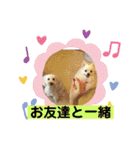 ひなたくんとれんちゃん（個別スタンプ：23）
