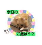 ひなたくんとれんちゃん（個別スタンプ：24）