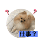 ひなたくんとれんちゃん（個別スタンプ：26）