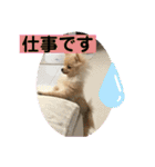 ひなたくんとれんちゃん（個別スタンプ：27）