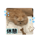 ひなたくんとれんちゃん（個別スタンプ：28）