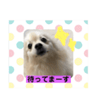 ひなたくんとれんちゃん（個別スタンプ：30）