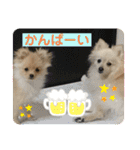 ひなたくんとれんちゃん（個別スタンプ：31）