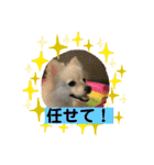 ひなたくんとれんちゃん（個別スタンプ：32）