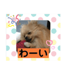 ひなたくんとれんちゃん（個別スタンプ：33）