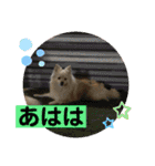 ひなたくんとれんちゃん（個別スタンプ：34）