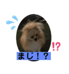 ひなたくんとれんちゃん（個別スタンプ：35）