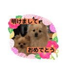 ひなたくんとれんちゃん（個別スタンプ：38）