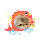 ひなたくんとれんちゃん（個別スタンプ：39）
