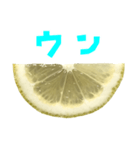 レモン カット 手書き風文字（個別スタンプ：31）