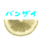 レモン カット 手書き風文字（個別スタンプ：34）