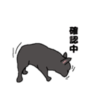 らら 002（個別スタンプ：13）