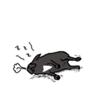 らら 002（個別スタンプ：16）
