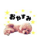 デカプー・イヴくん（個別スタンプ：3）