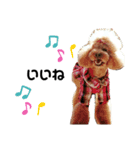 デカプー・イヴくん（個別スタンプ：6）