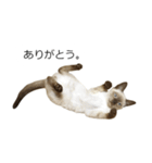 シャム猫風味なレンくんのありがとうと挨拶（個別スタンプ：2）