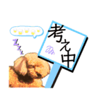 我が家のあろはちゃん❺（個別スタンプ：9）