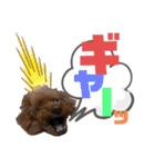 我が家のあろはちゃん❺（個別スタンプ：12）