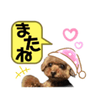 我が家のあろはちゃん❺（個別スタンプ：14）