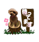 我が家のあろはちゃん❺（個別スタンプ：20）