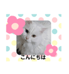 エルのひとこと（個別スタンプ：2）